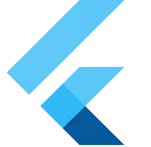 Flutter Developer